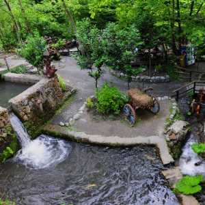 Maşukiye & Sapanca Tour